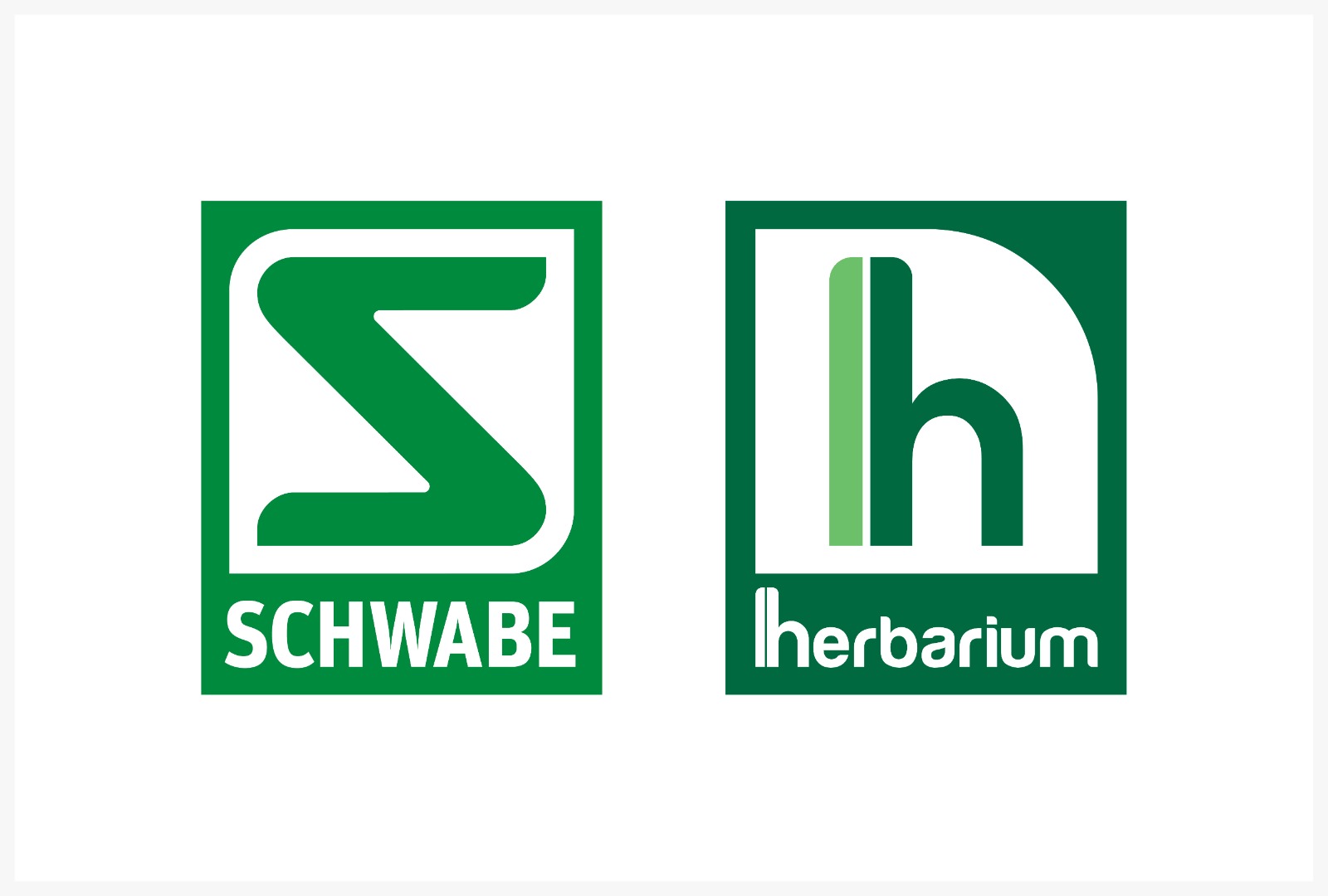 Patrocinador 1